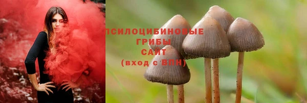 МДПВ Магадан