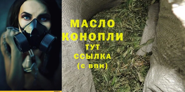 индика Апатиты