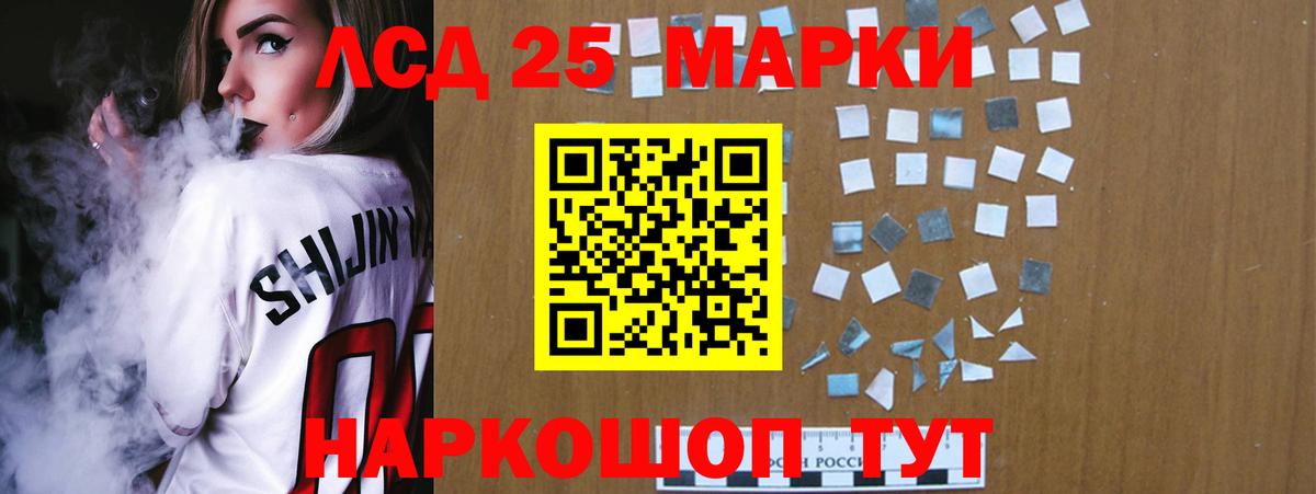 Псилоцибиновые грибы Дубна