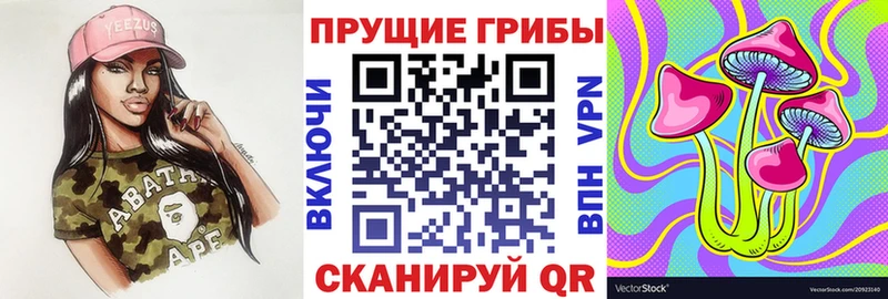 Псилоцибиновые грибы мухоморы  Дубна 