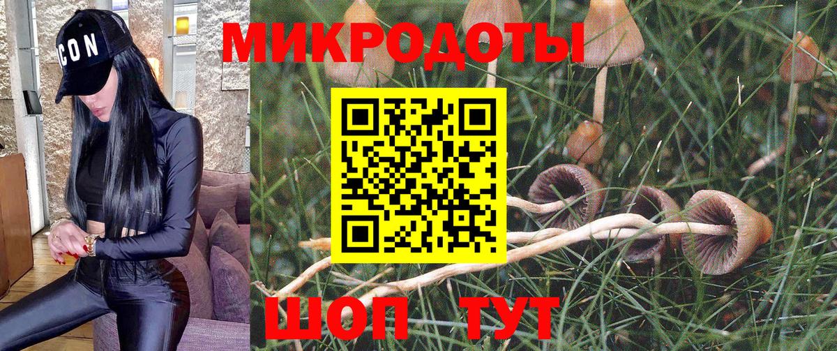 Галлюциногенные грибы Cubensis  Псилоцибиновые грибы Psilocybine cubensis  Дубна 