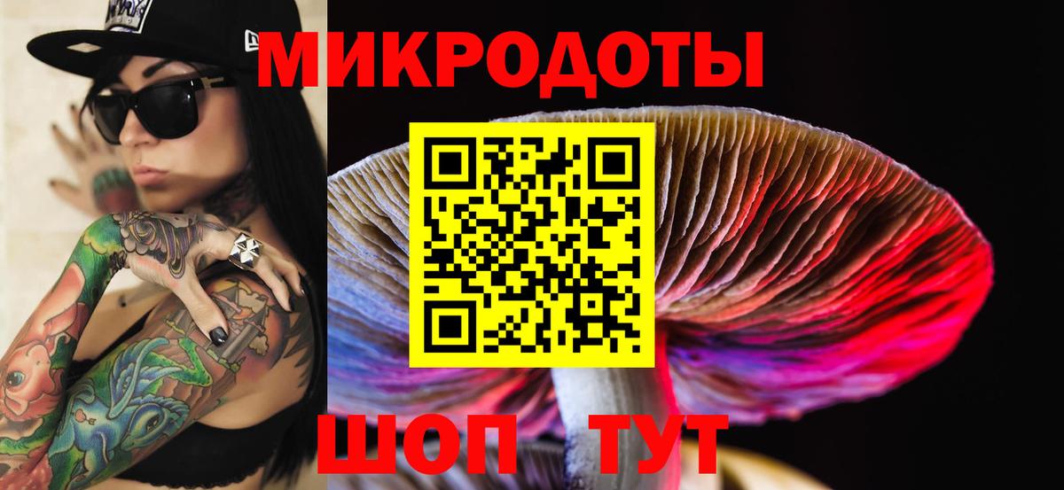 Псилоцибиновые грибы Psilocybine cubensis Дубна