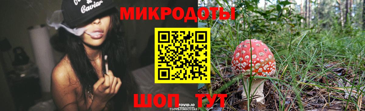 Галлюциногенные грибы GOLDEN TEACHER Дубна